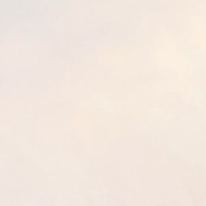 Meet your Posher, Cheyenne